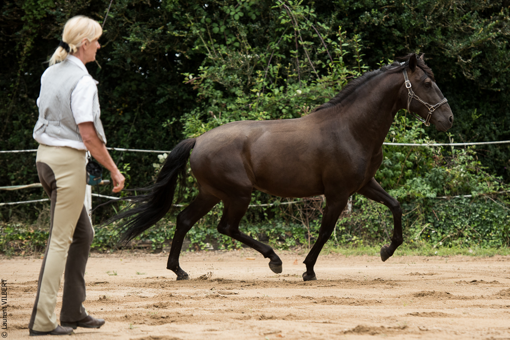 Sybille 20180729-019