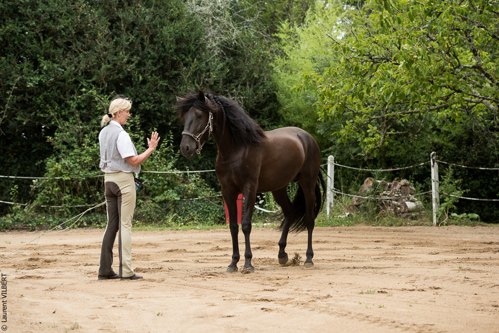 Sybille 20180729-025