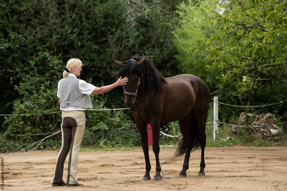 Sybille 20180729-026