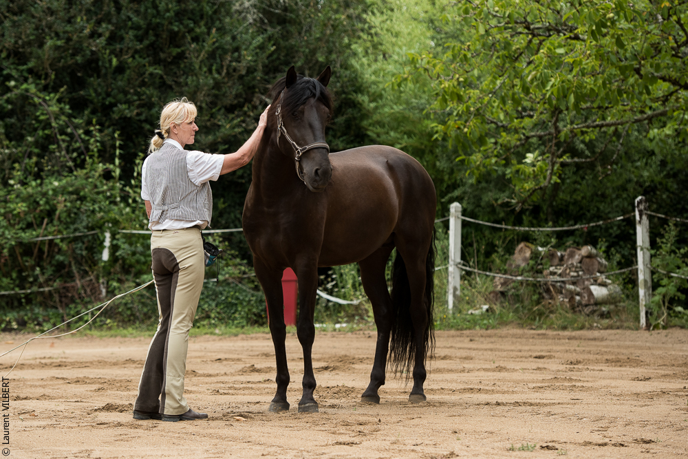 Sybille 20180729-028