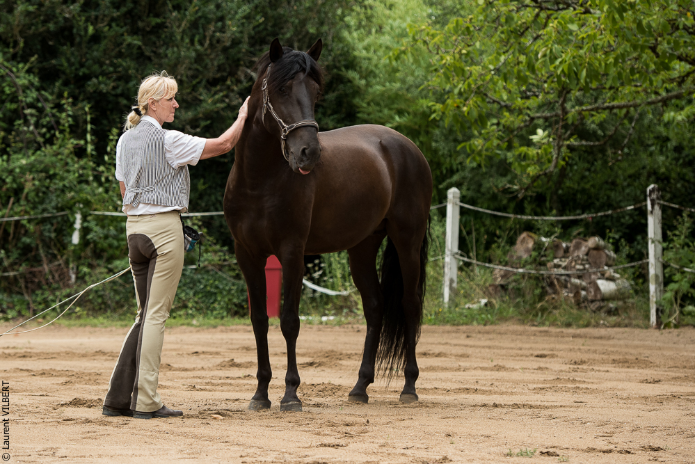 Sybille 20180729-029