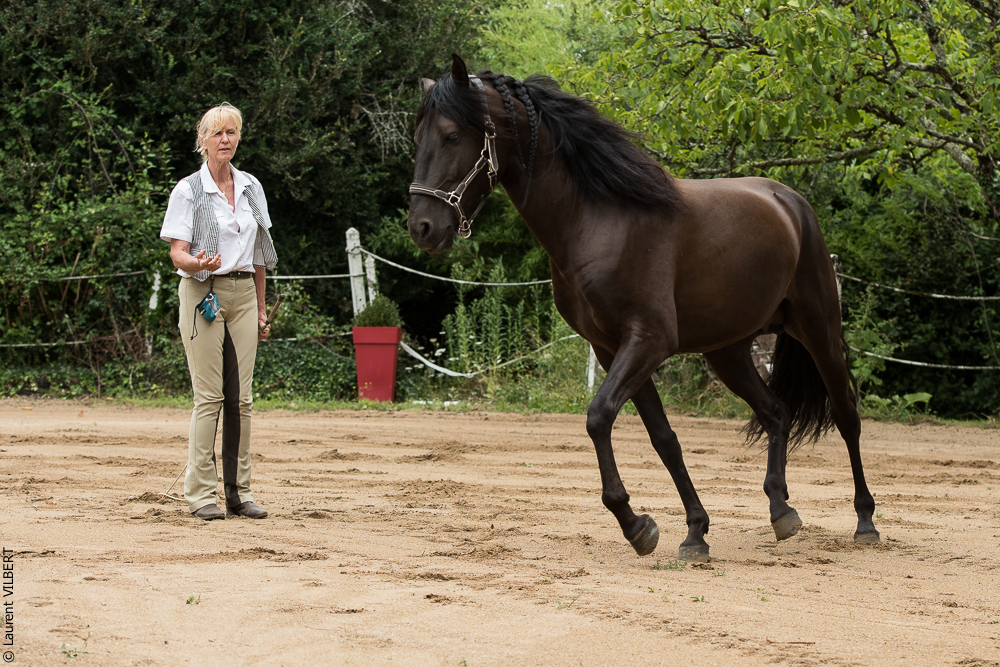 Sybille 20180729-033