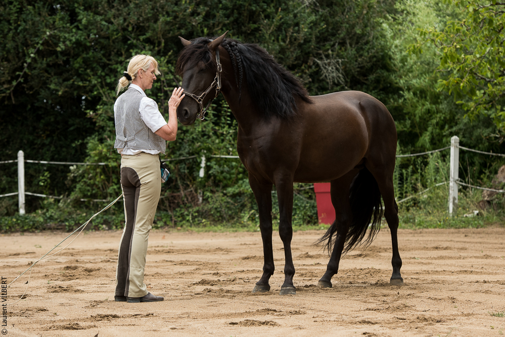 Sybille 20180729-035