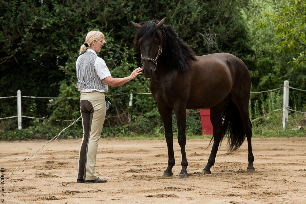 Sybille 20180729-036