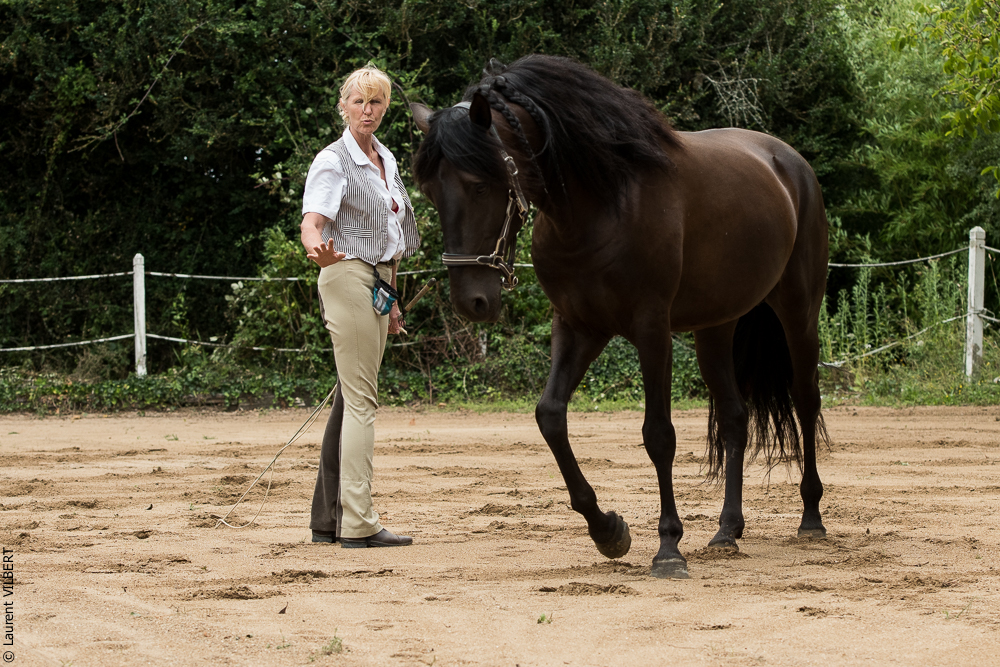 Sybille 20180729-037