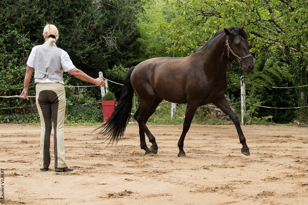 Sybille 20180729-039