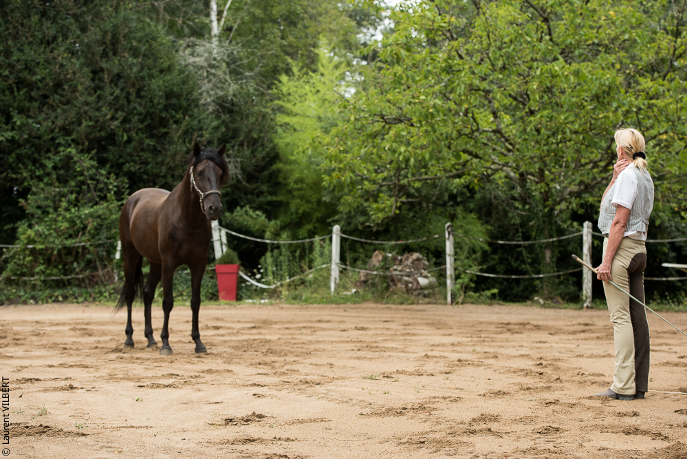 Sybille 20180729-042