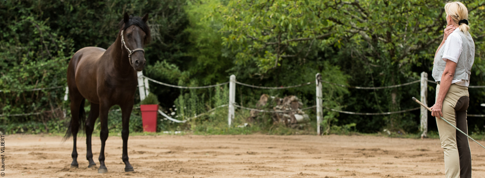 Sybille 20180729-042