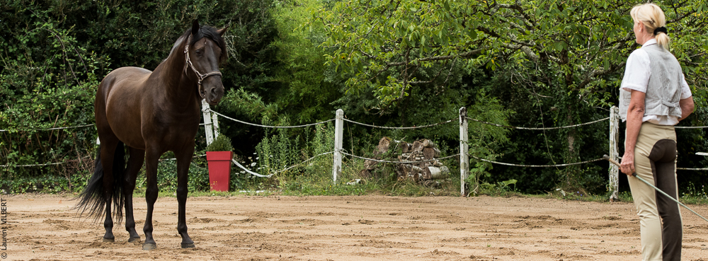 Sybille 20180729-043