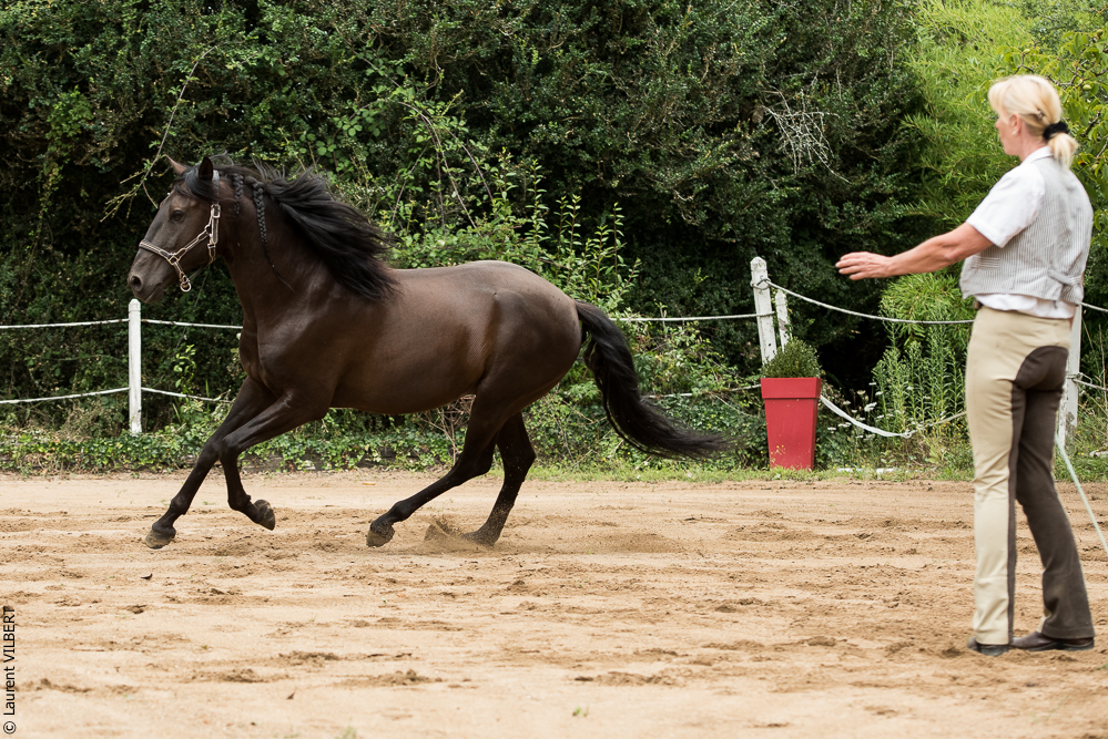 Sybille 20180729-054