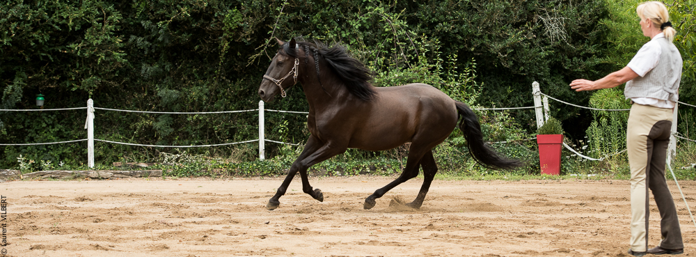 Sybille 20180729-054