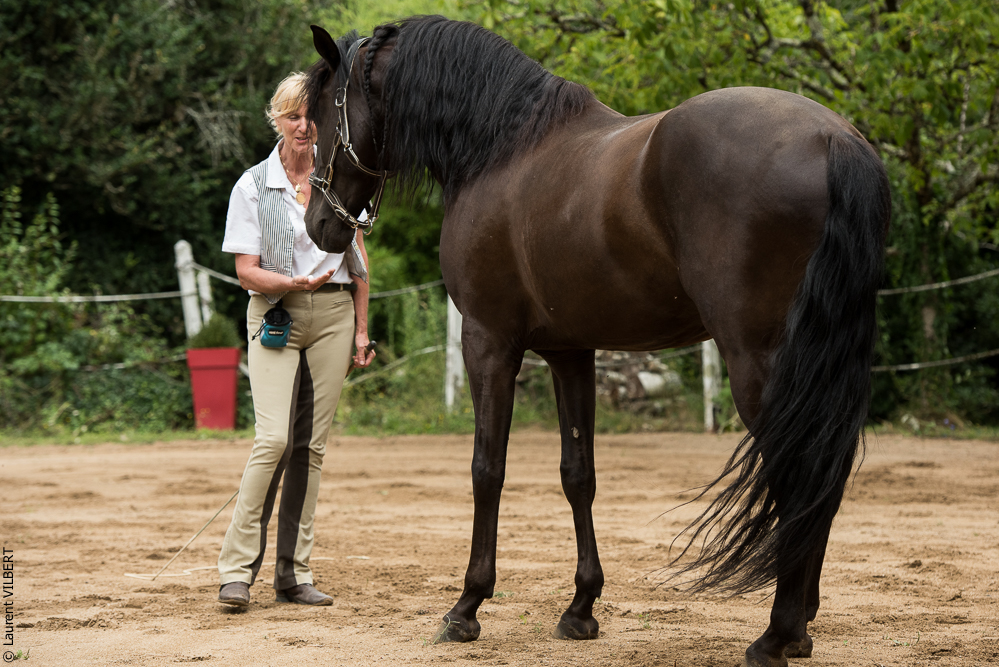 Sybille 20180729-055