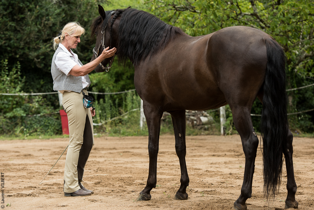 Sybille 20180729-058