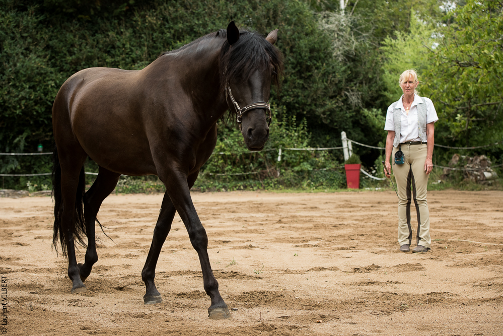 Sybille 20180729-060