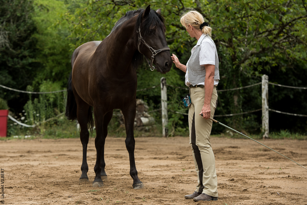 Sybille 20180729-061