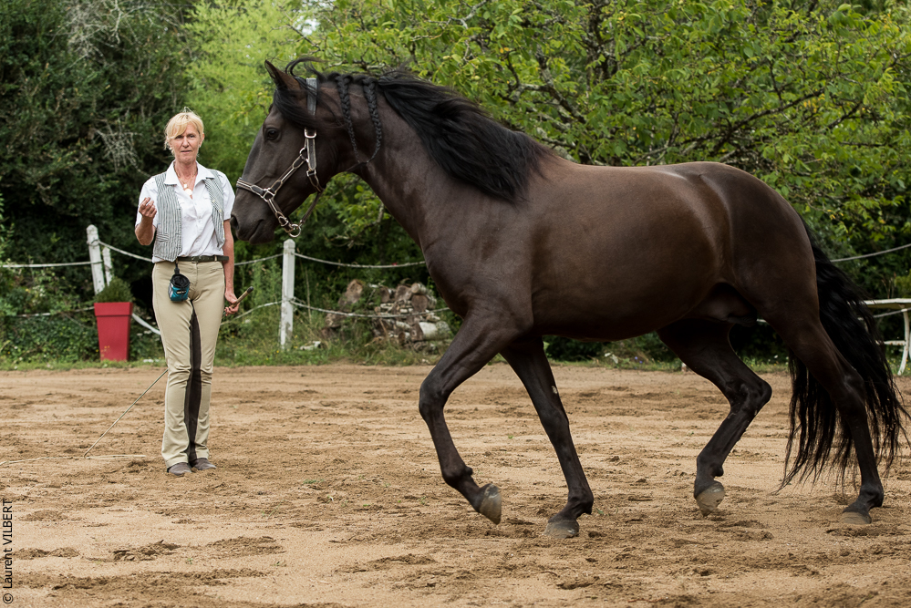 Sybille 20180729-072