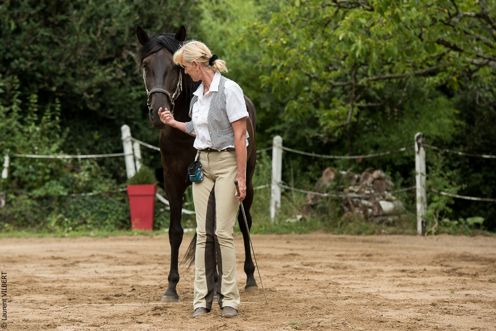 Sybille 20180729-075