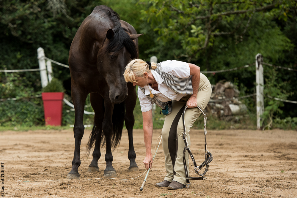 Sybille 20180729-079