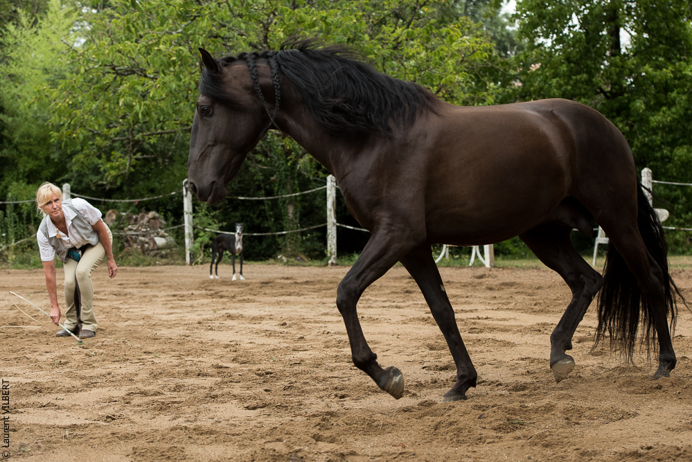 Sybille 20180729-083