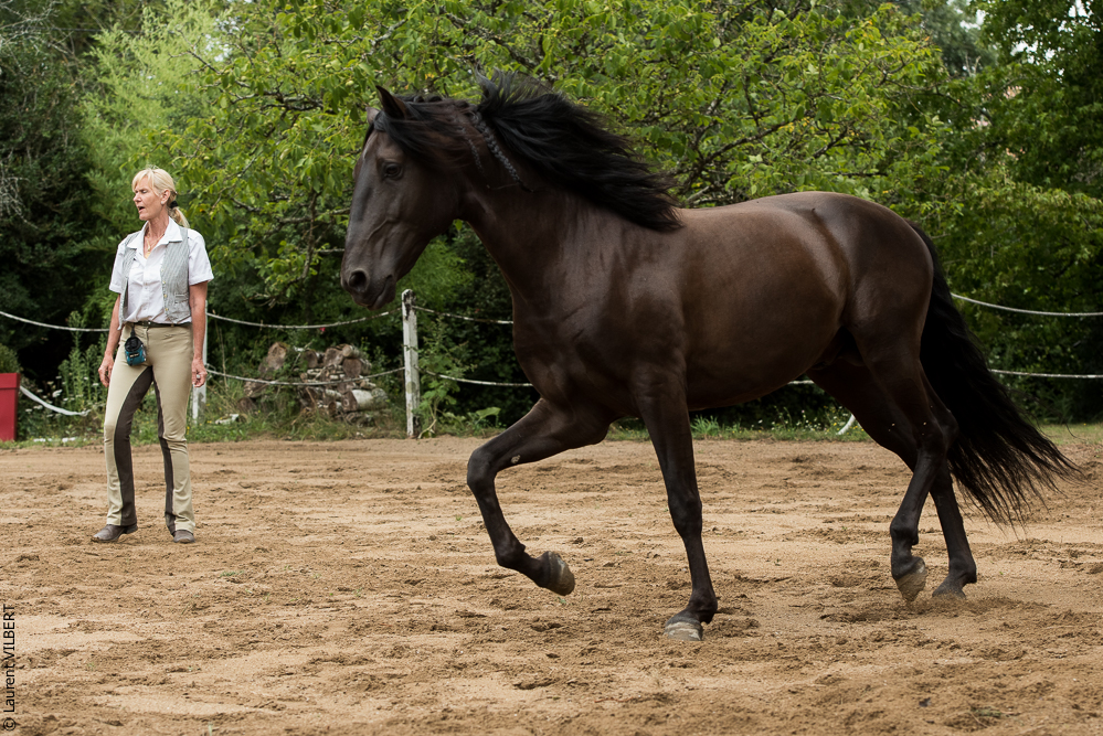 Sybille 20180729-089