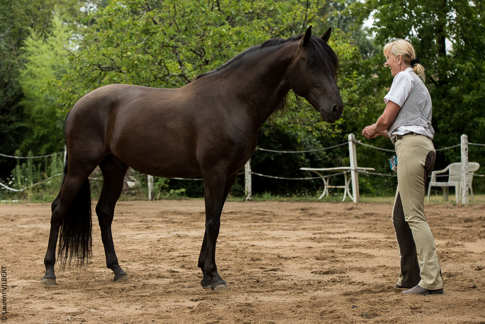 Sybille 20180729-090