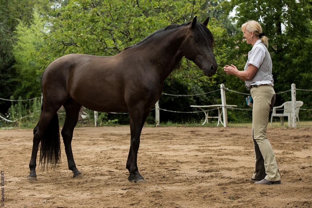 Sybille 20180729-091