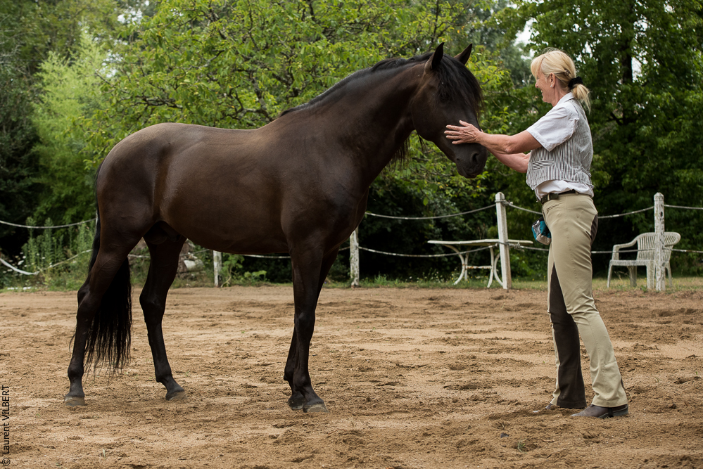 Sybille 20180729-092