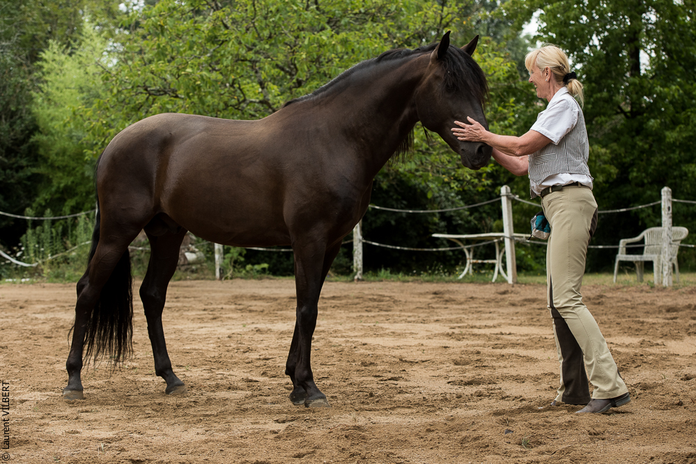 Sybille 20180729-093