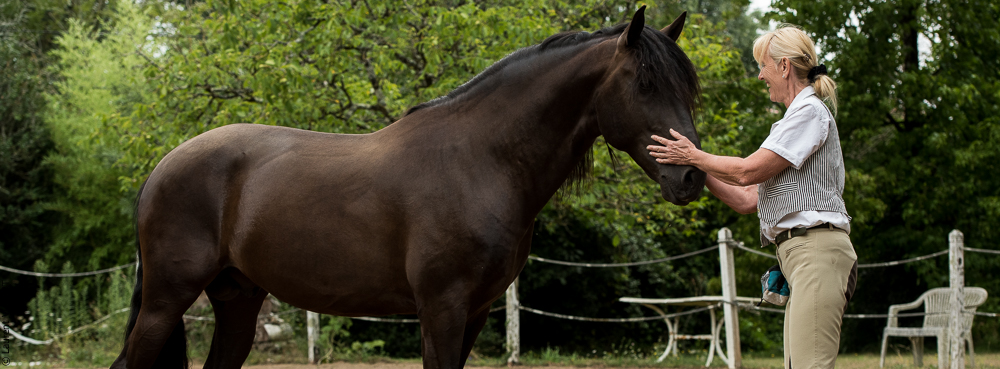 Sybille 20180729-093