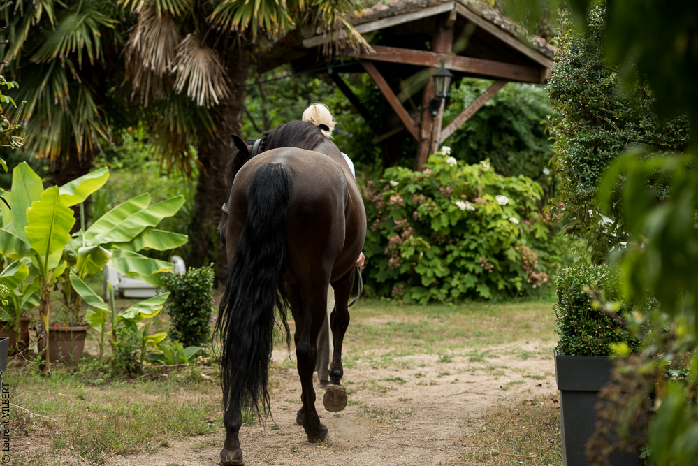 Sybille 20180729-096