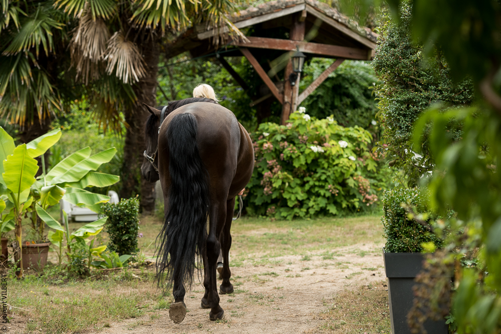 Sybille 20180729-097