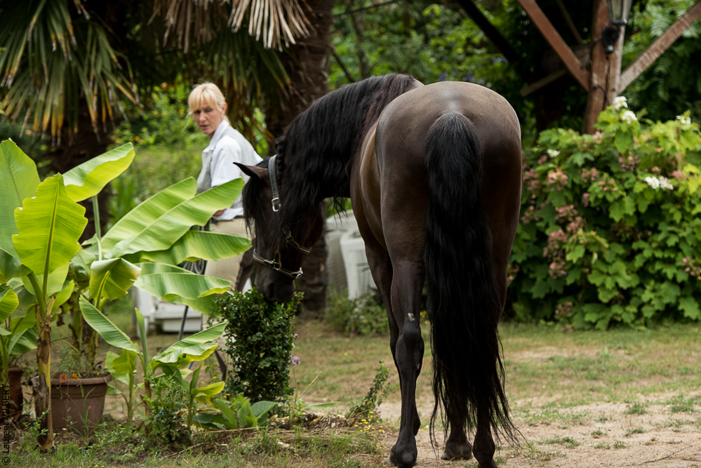 Sybille 20180729-101