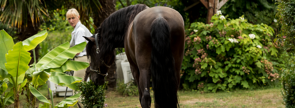 Sybille 20180729-101