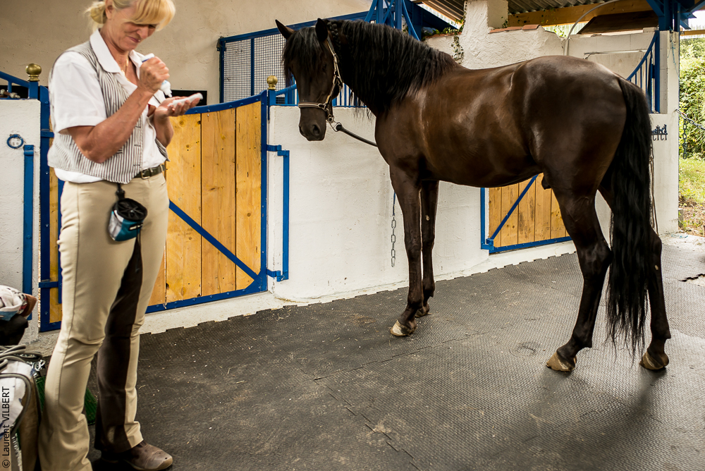 Sybille 20180729-106