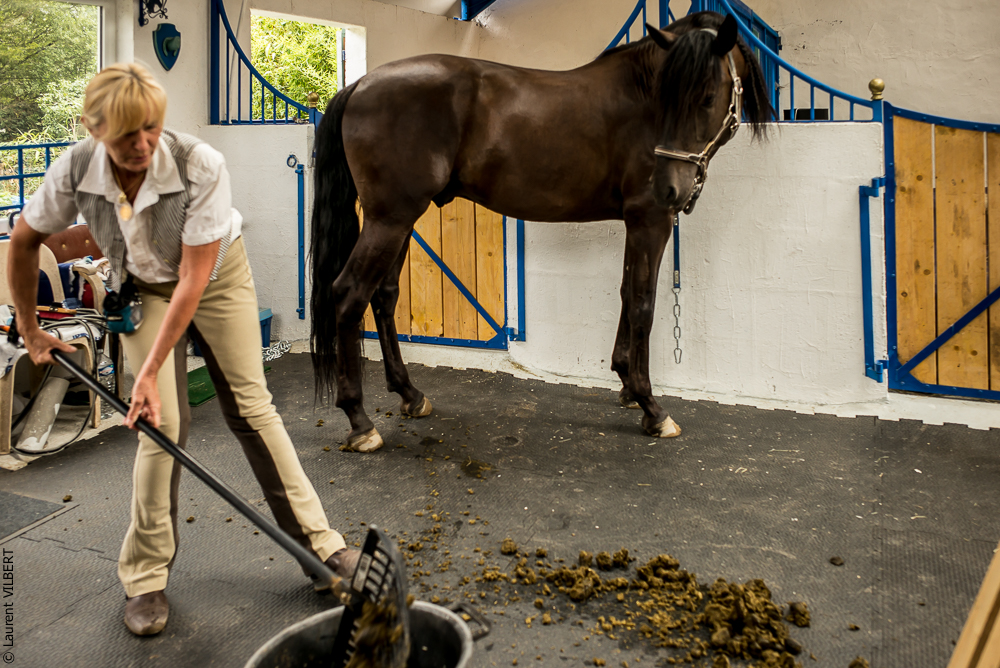 Sybille 20180729-110