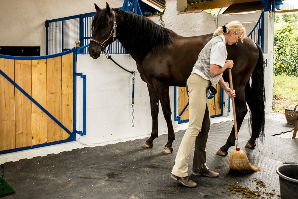 Sybille 20180729-114