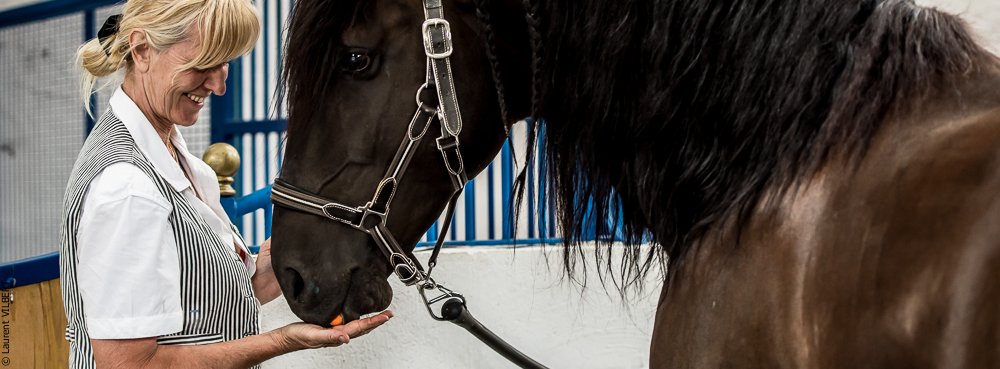 Sybille 20180729-125