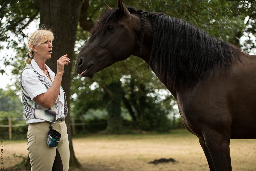 Sybille 20180729-143