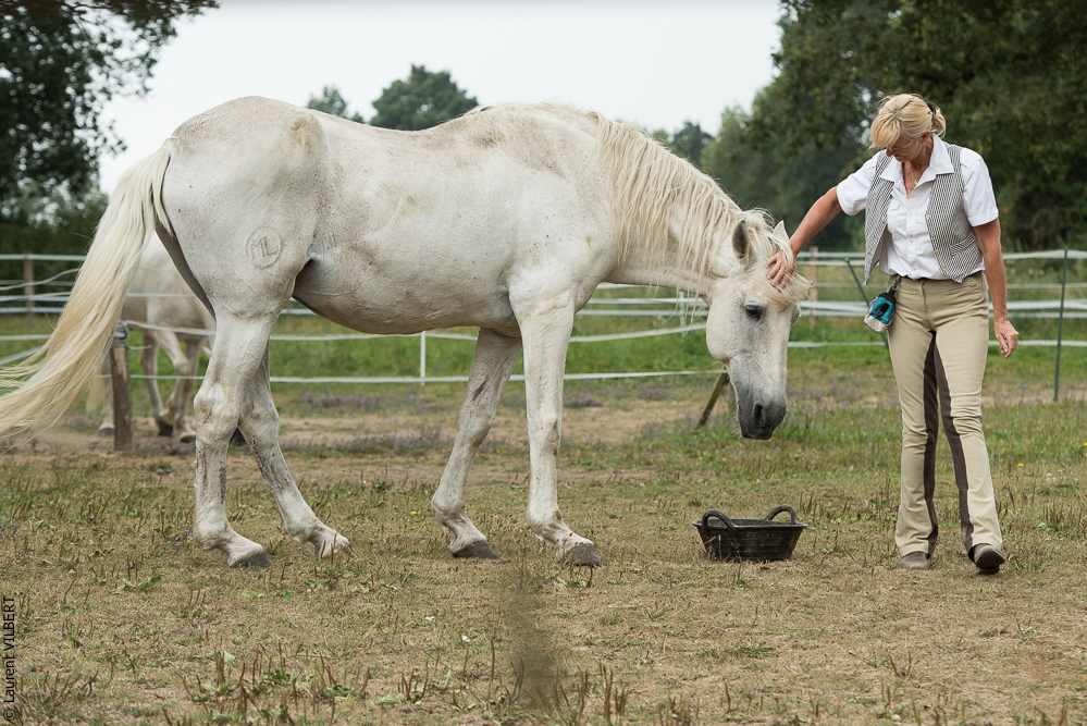 Sybille 20180729-171