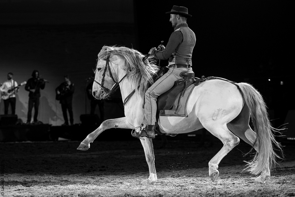 Cheval Passion 20220121-3740