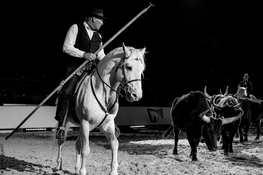 Cheval Passion 20220121-3924