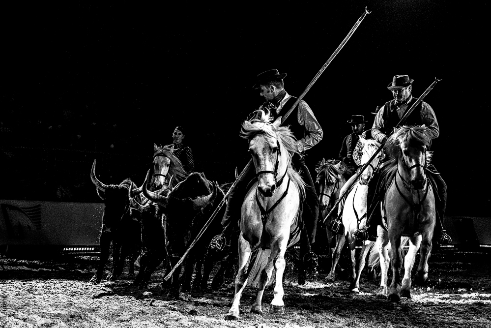 Cheval Passion 20220121-3938