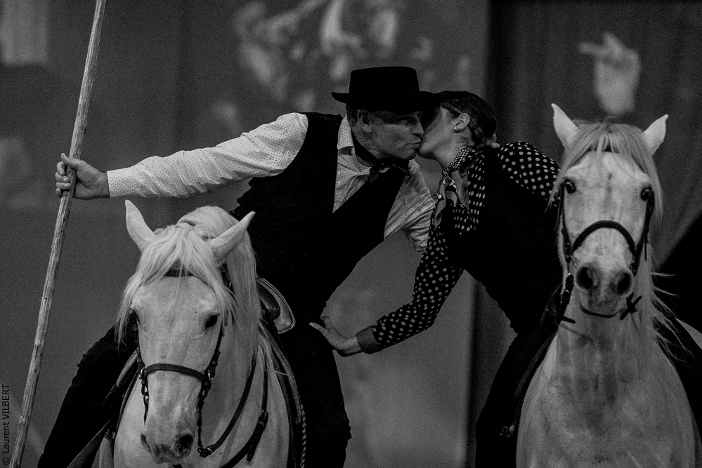 Cheval Passion 20220121-4088