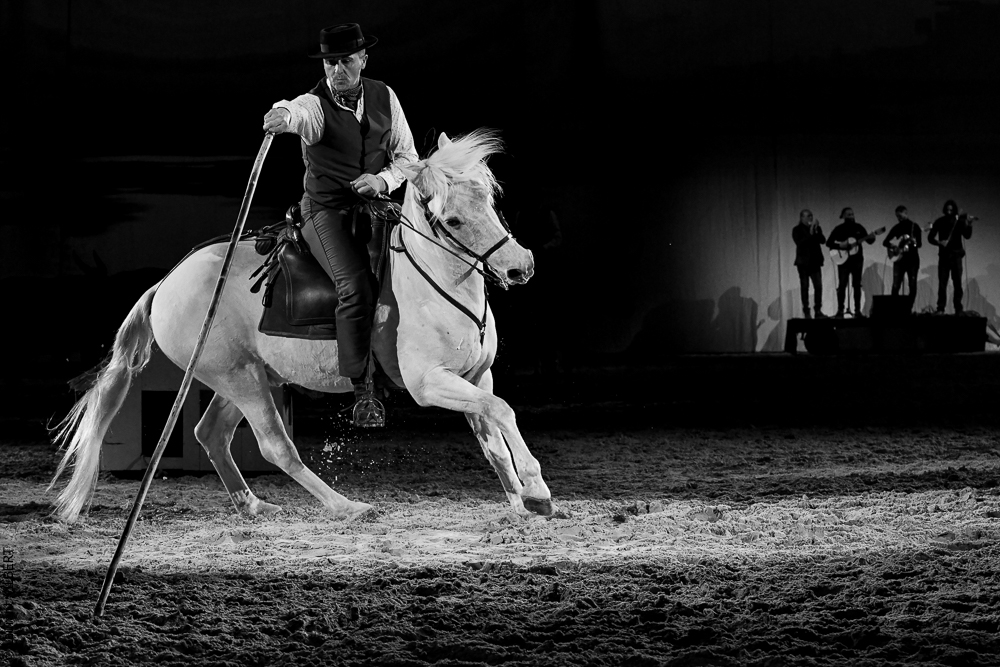 Cheval Passion 20220122-5425