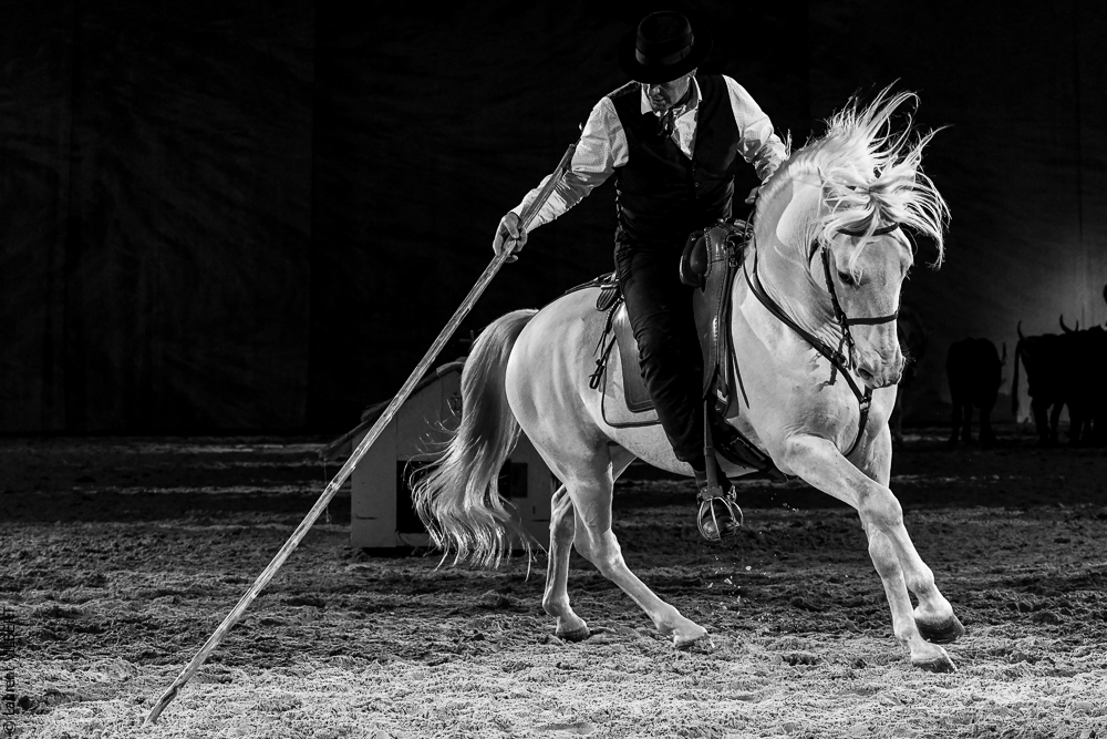 Cheval Passion 20220122-5492