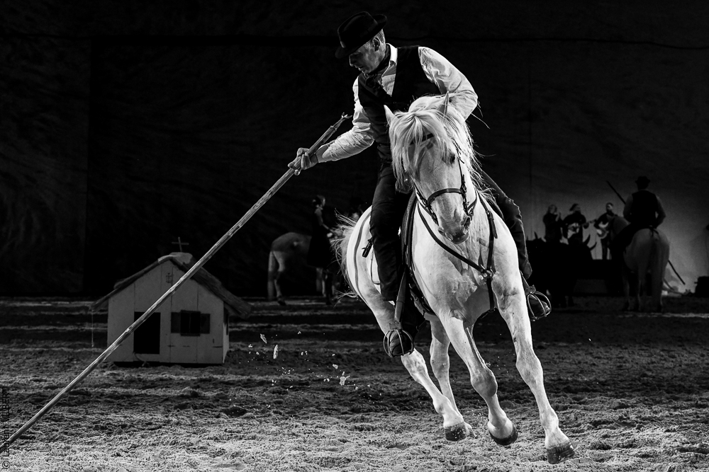 Cheval Passion 20220122-5493