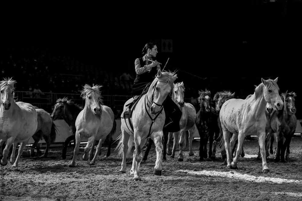 Cheval Passion 20220122-5552