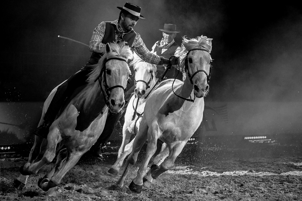 Cheval Passion 20220123-6206