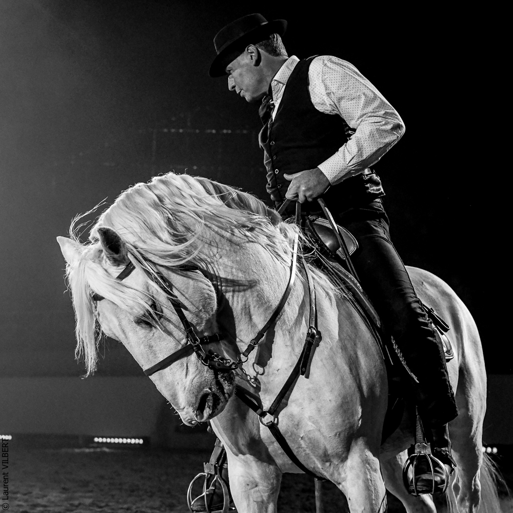 Cheval Passion 20220123-6247