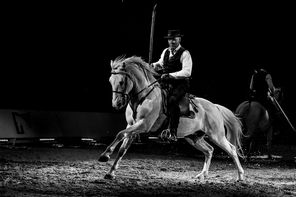 Cheval Passion 20220123-6286